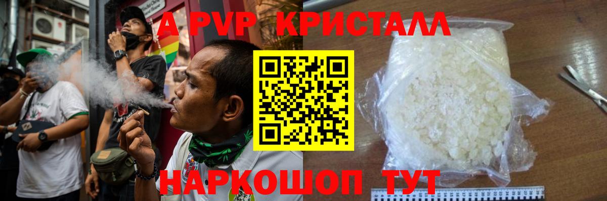 Альфа ПВП СК Калуга