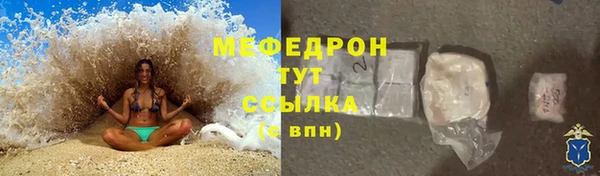 мдпв Инсар