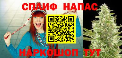 каннабис Берёзовский