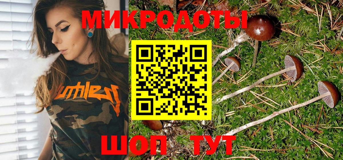 Галлюциногенные грибы MAGIC MUSHROOMS Калуга
