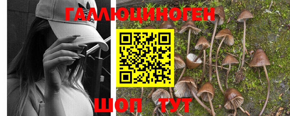 Галлюциногенные грибы мицелий  Вход с VPN  Псилоцибиновые грибы прущие грибы  Калуга 