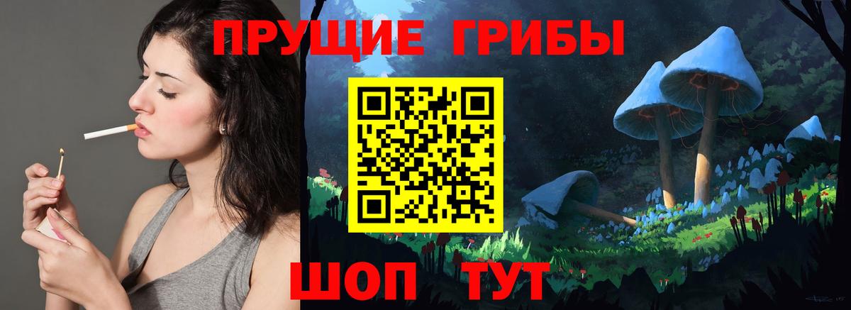 цена наркотик  Галлюциногенные грибы Psilocybine cubensis  Калуга  Галлюциногенные грибы GOLDEN TEACHER 