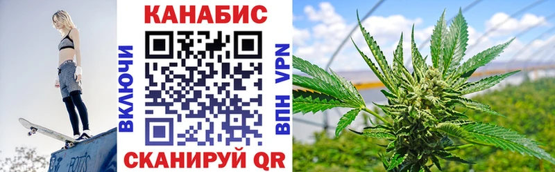 дарнет шоп  Калуга  Каннабис сатива 